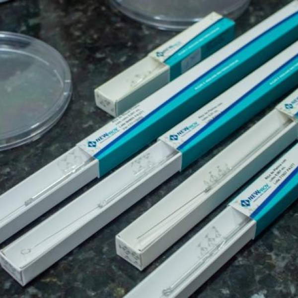 Alça metálica para inoculação de amostras e repique de culturas