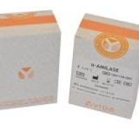 Alfa Amilase