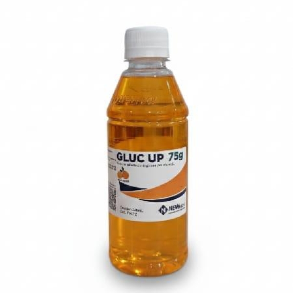 GLUC UP 75G SABOR LARANJA 300ML  - NEWPROV