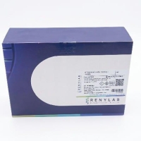 KIT PAPANICOLAOU 3x500ml - RENYLAB