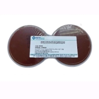 PLACA ÁGAR CHOCOLATE SUPLEMENTADO. 90X15mm, PACOTE COM 10 PLACAS -...