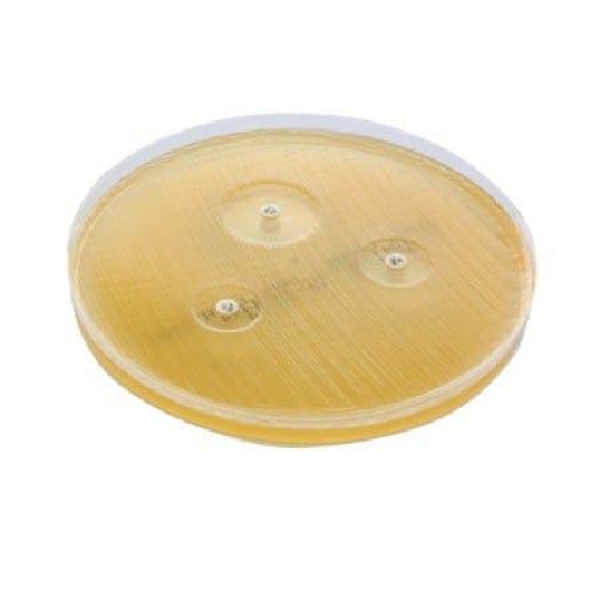 PLACA ÁGAR MUELLER HINTON , 90X15mm, PCT COM 10 UNID...