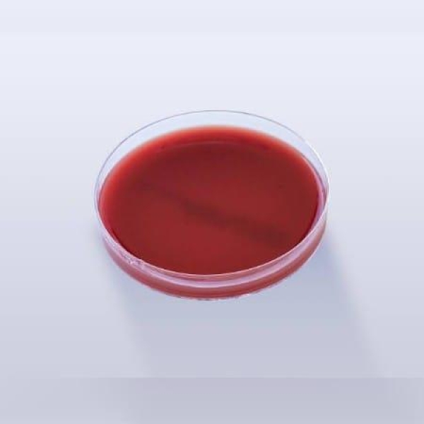PLACA ÁGAR SANGUE, 90X15mm, PCT COM 10 UNID - RENYLAB